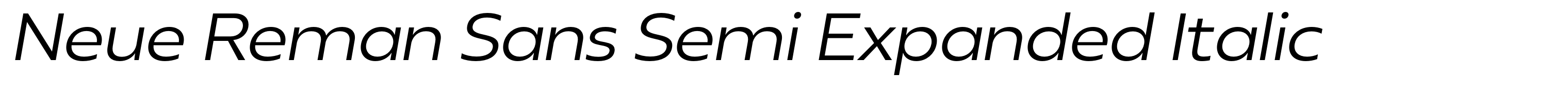 Neue Reman Sans Semi Expanded Italic